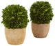 Nearly Natural 7ï¿½ Boxwood Ball Preserved Plant in Decorative Planter (Set of 2)