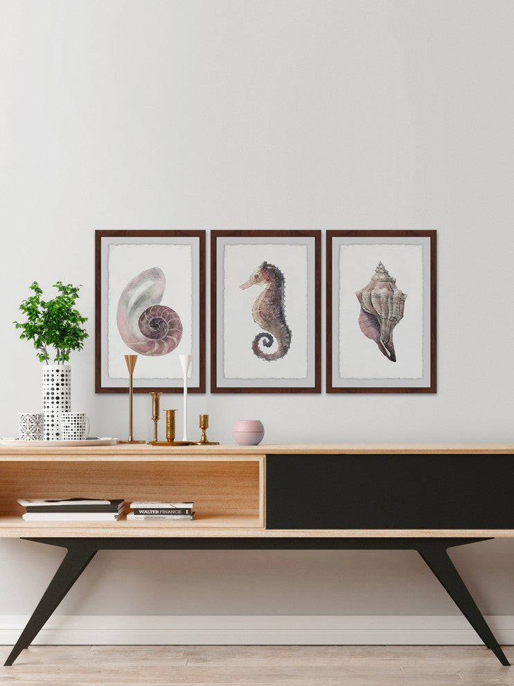 "Sea Stuff Triptych" Framed Painting Prints, 36"x18", 3-Piece Set