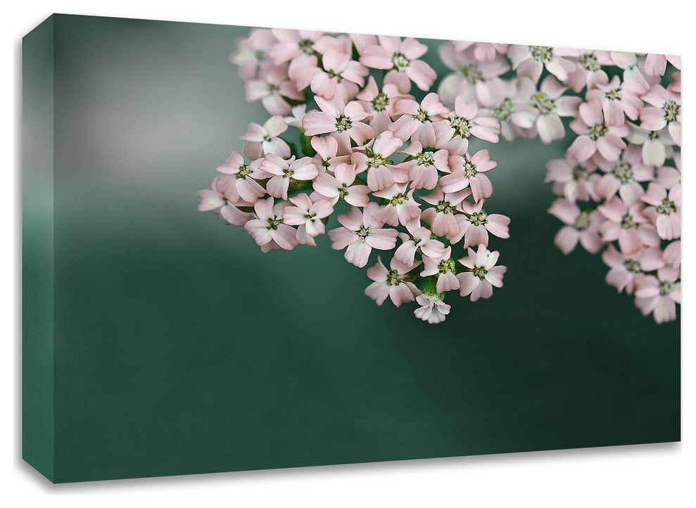 Blush Pink Flowers by Brooke T. Ryan, Print on Canvas, 40"x30"