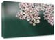 Blush Pink Flowers by Brooke T. Ryan, Print on Canvas, 40"x30"