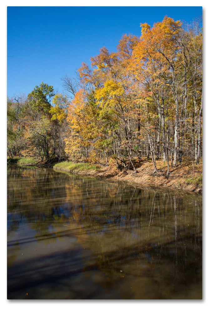 ''Vermilion River Autumn'' Canvas Art by Kurt Shaffer