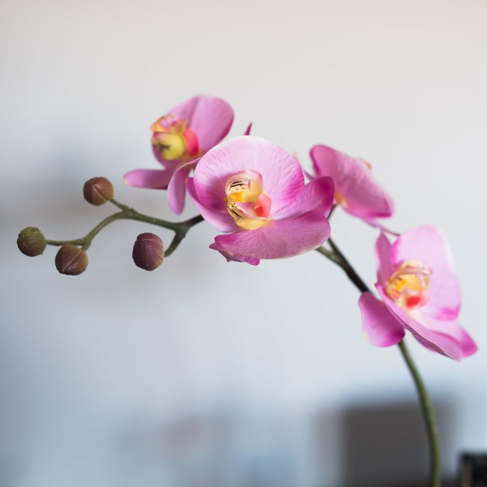 20" Potted Orchid Lavender