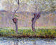 Claude Oscar Monet Willows in Springtime, 20"x25" Wall Decal