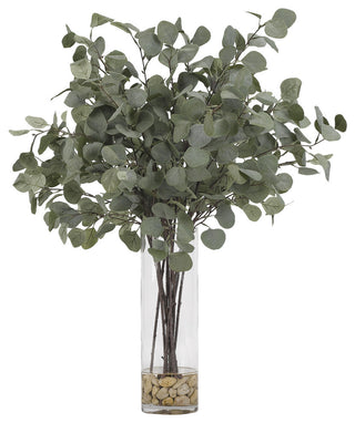 Silver Dollar Eucalyptus, Glass Cylinder