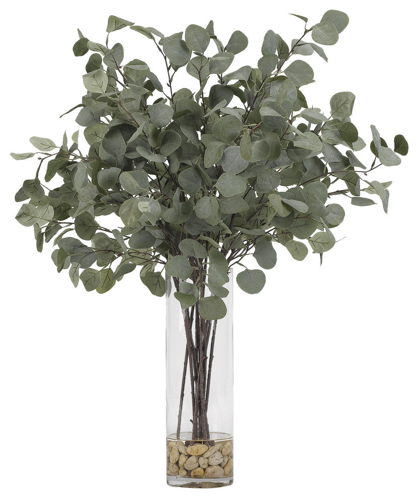 Silver Dollar Eucalyptus, Glass Cylinder