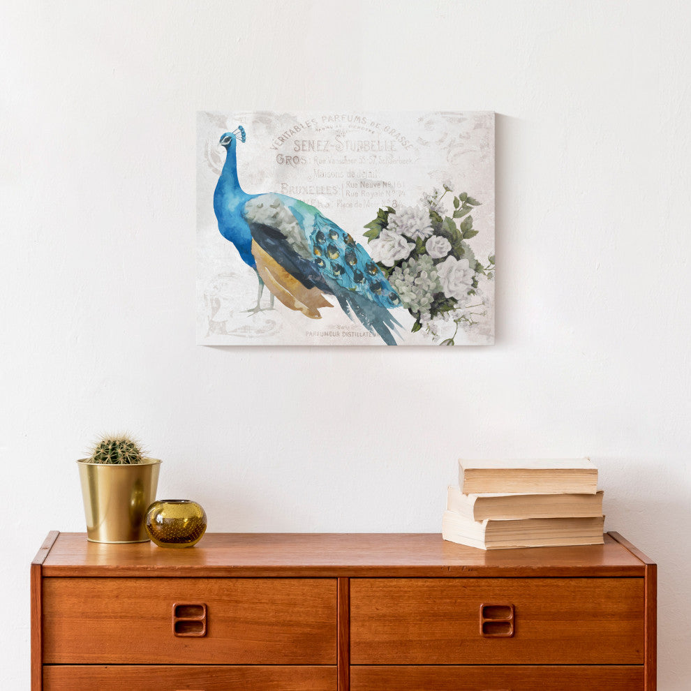 French Peacock 11x14 Canvas Wall Art