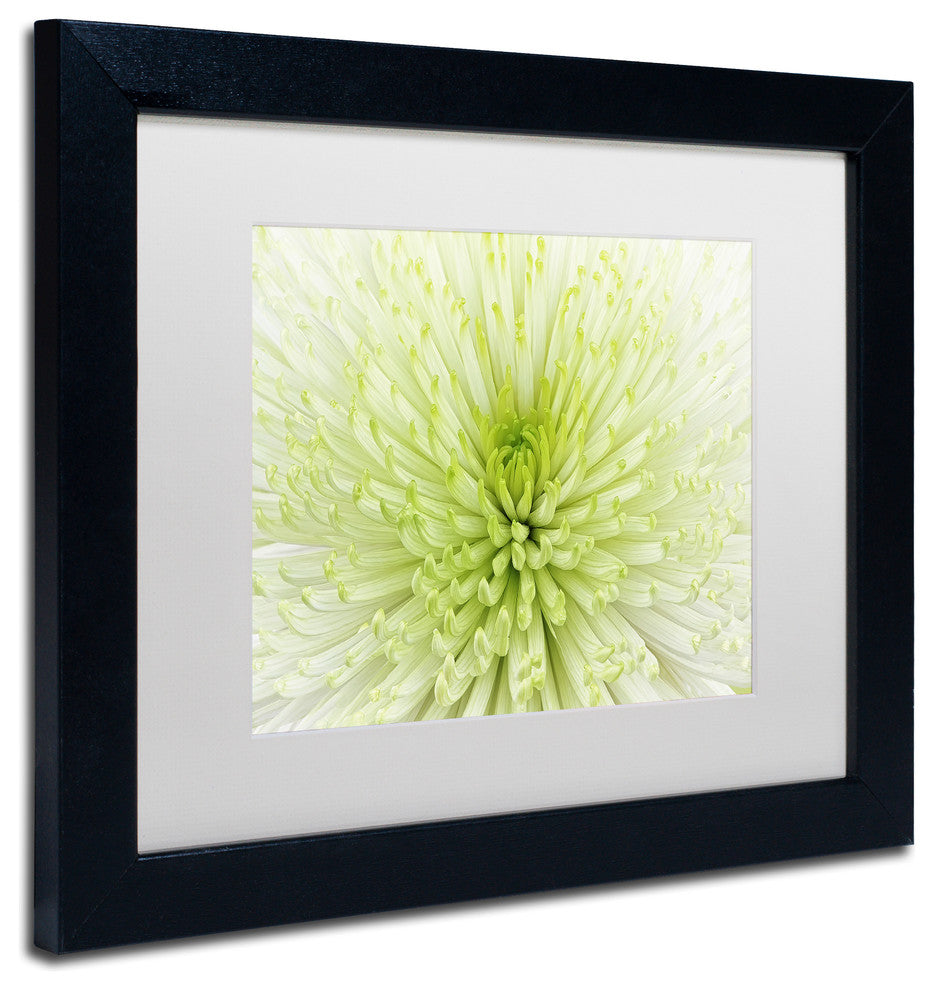 Cora Niele ''Lime Light Spider Mum'' Matted Framed Art