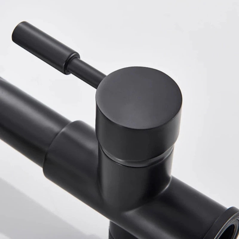 Solid Brass Matte Black Kitchen Faucet With Filtered Water Tap