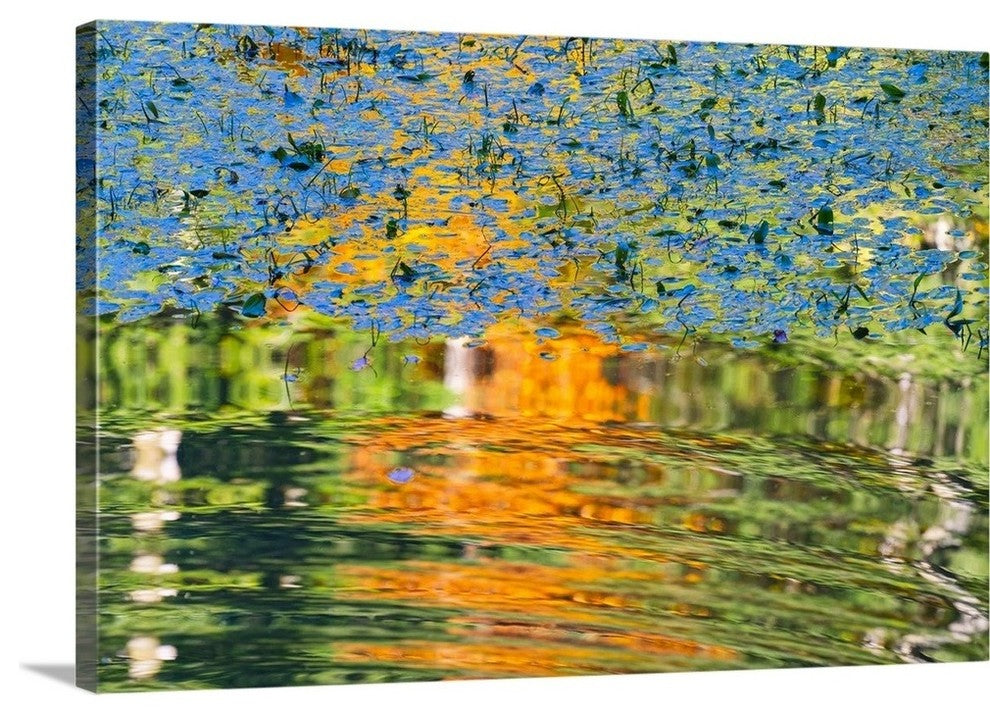 "Vibrant" Wrapped Canvas Art Print, 36"x24"x1.5"