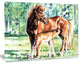 Mare and Foal Watercolor, Abstract Canvas Art Print, 40"x30"