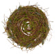 Earthy Elements Twig and Moss Placemat, Set of 4, Green, 15"
