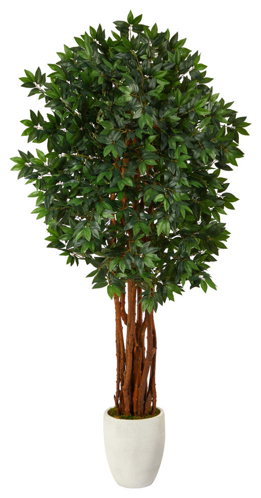 6' Lychee Artificial Tree, White Planter