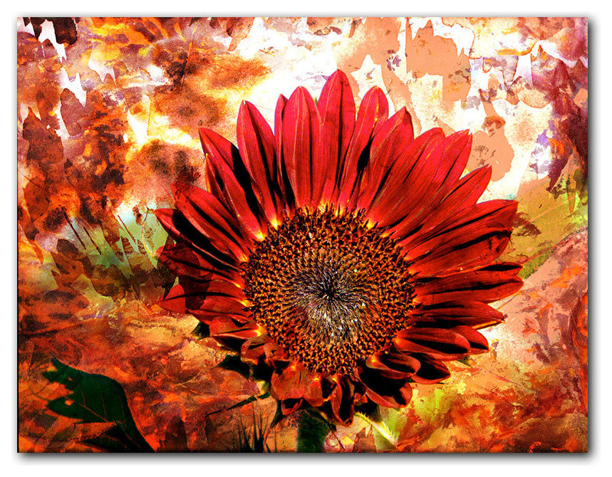 Daisy Canvas Wall Art