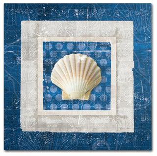 'Sea Shell III on Blue' Canvas Art by Belinda Aldrich