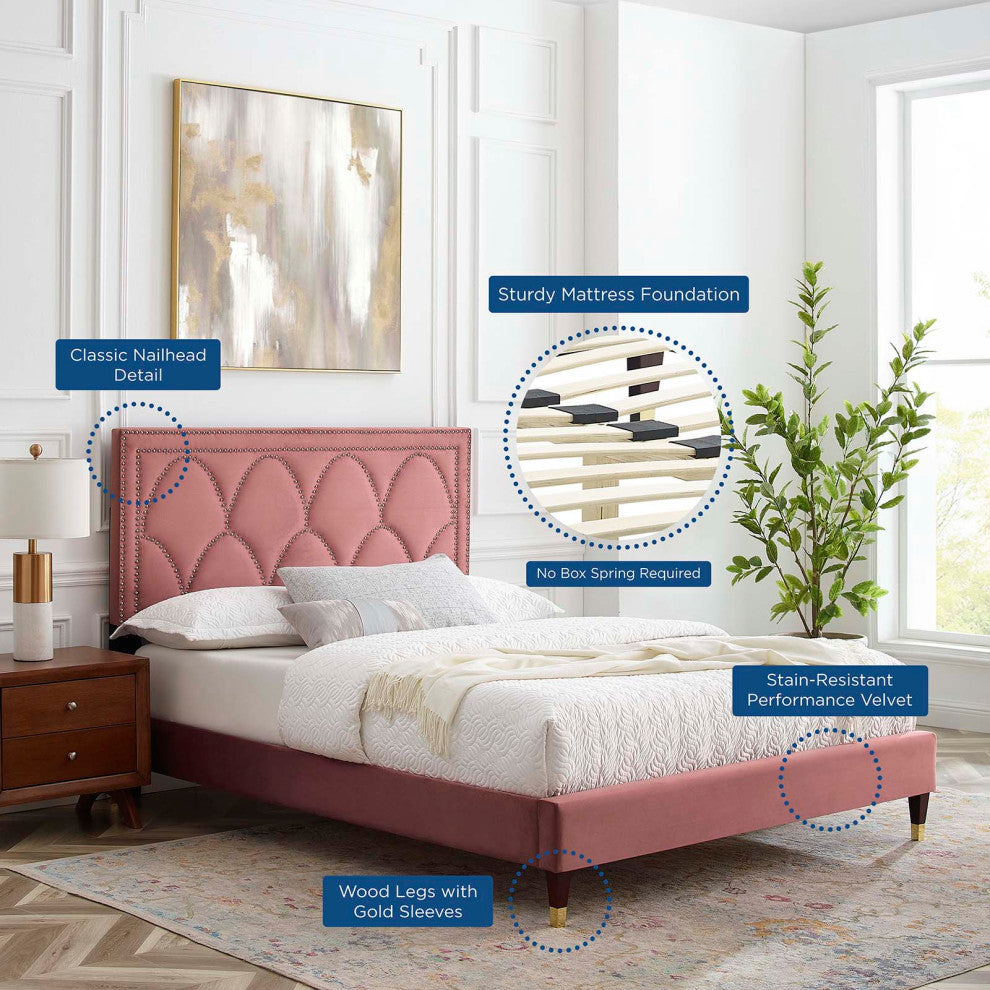 Platform Bed Frame, Nailhead, Queen Size, Pink, Velvet, Modern, Guest Suite