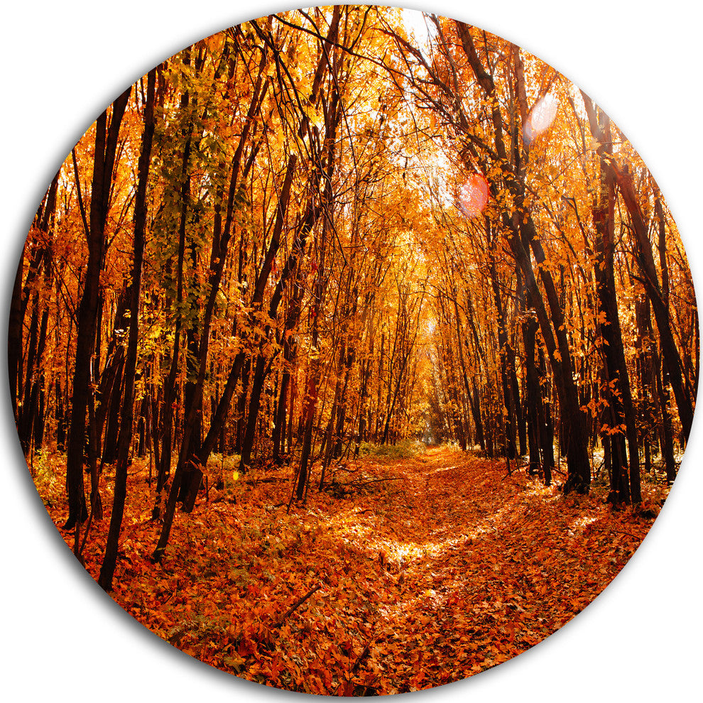 Yellow Falling Leaves In Forest, Landscape Photo Disc Metal Art, 36"