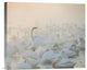 "Song Of The Morning Light" Canvas Giclee by Dmitry Dubikovskiy, 16"x13"