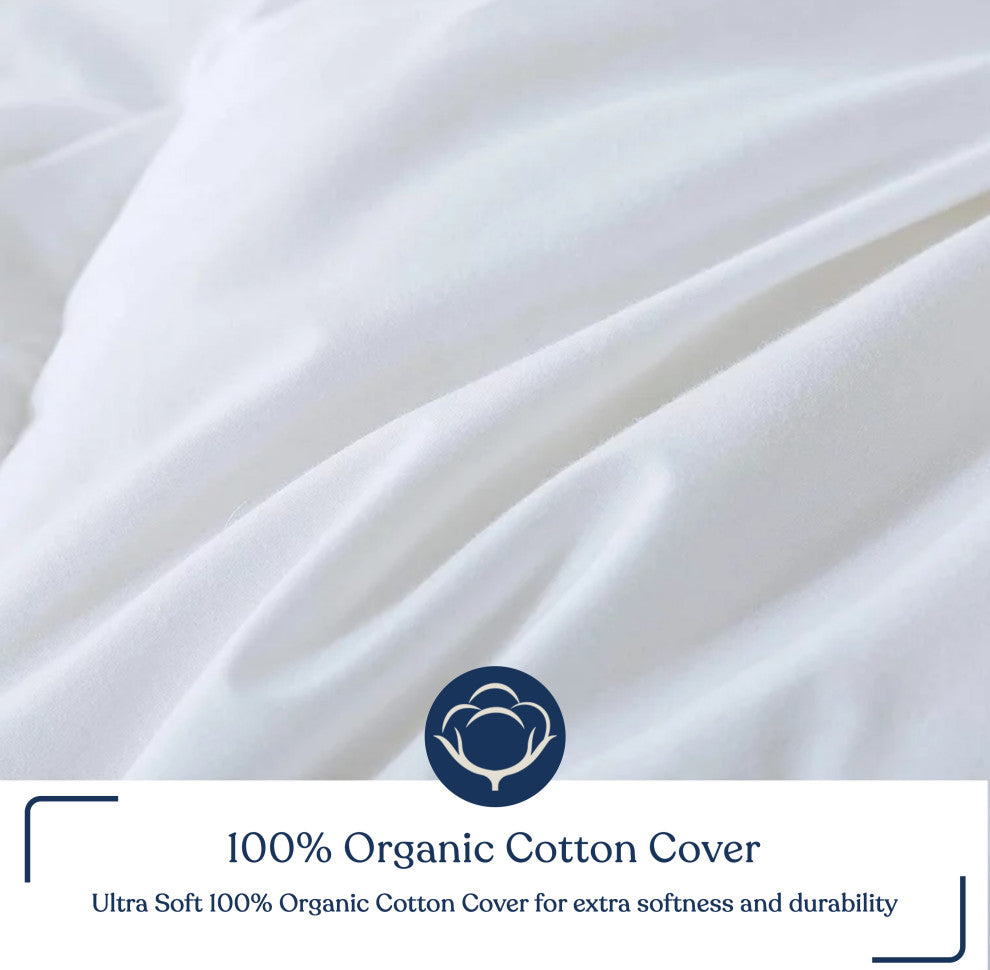 Delara Wool Duvet Insert 100% Organic Cotton Shell, Twin, 68"x86"