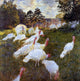 Claude Oscar Monet Turkeys, 20"x20" Wall Decal