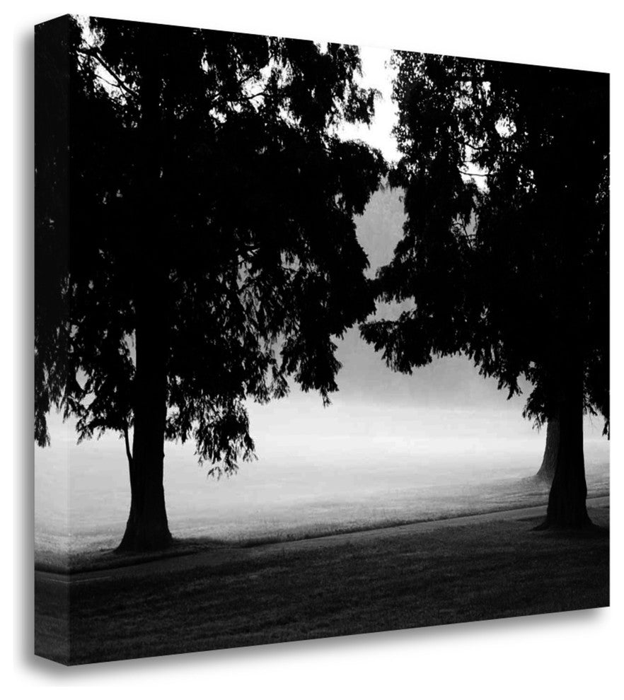 "Fog In The Park II" By Gary Bydlo, Giclee Print on Gallery Wrap Canvas