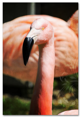 Tina Lavoie 'Pink Flamingo II' Canvas Art, 12" x 19"