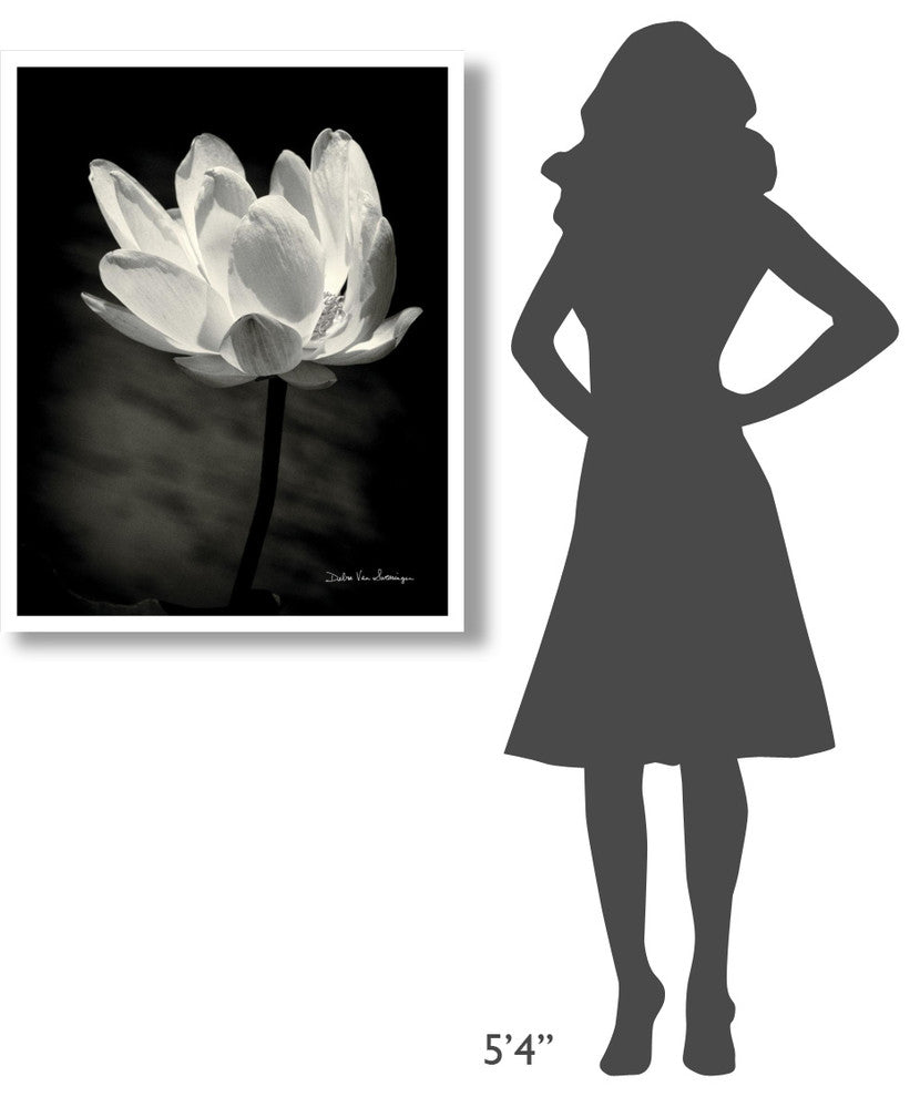 "Lotus Flower X" Digital Paper Print by Debra Van Swearingen, 30"x37"