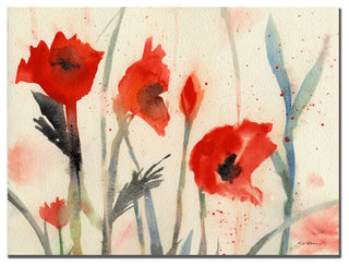 'Red Poppy Light' Canvas Art by Sheila Golden