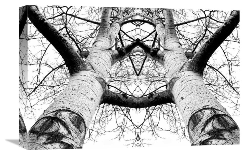 "Aspen Cathedral" Stretched Canvas Giclee by James K. Papp, 22x15"