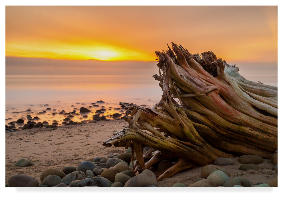 Chris Moyer ''Driftwood Sunset'' Canvas Art, 47"x30"