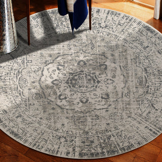 Alpine Dale Area Rug, Gray, 7'10" x 7'10"R, Medallion