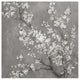 "White Cherry Blossoms II on Grey Crop" Paper Print by Danhui Nai, 42"x42"