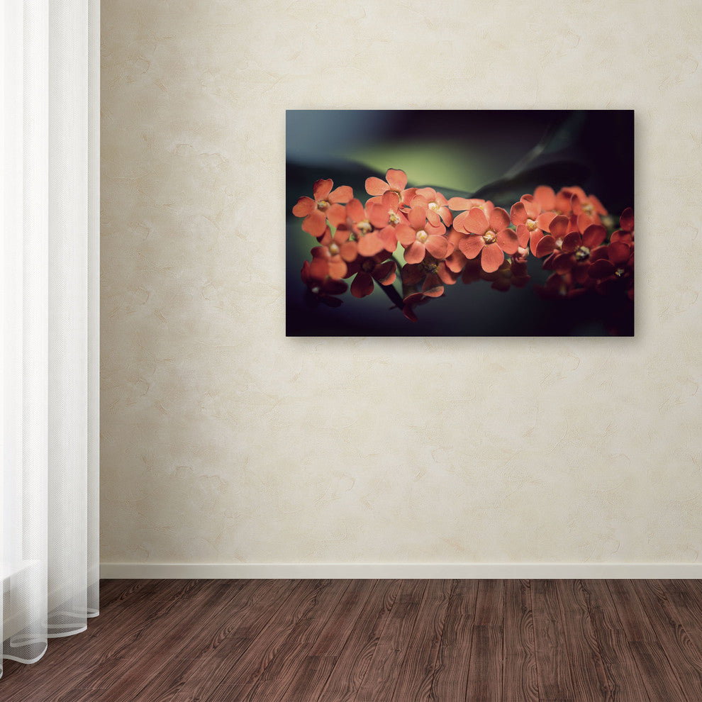 'Flowers Waiting' Canvas Art by Philippe Sainte-Laudy