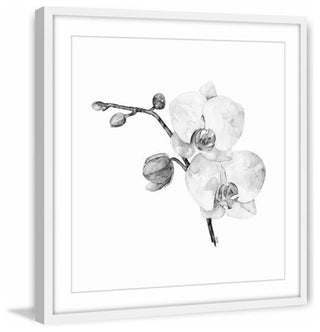 "Orchid II" Framed Painting Print, 32"x32"