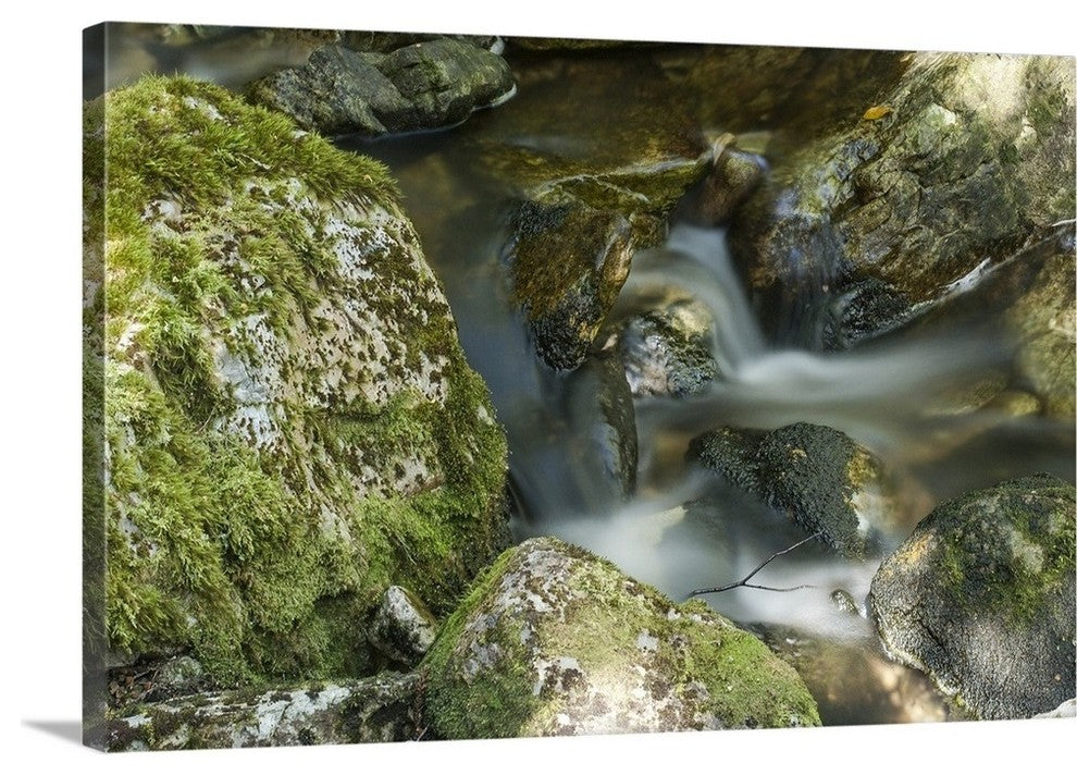 "Cradle Mountain Stream" Wrapped Canvas Art Print, 48"x32"x1.5"