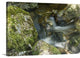 "Cradle Mountain Stream" Wrapped Canvas Art Print, 48"x32"x1.5"