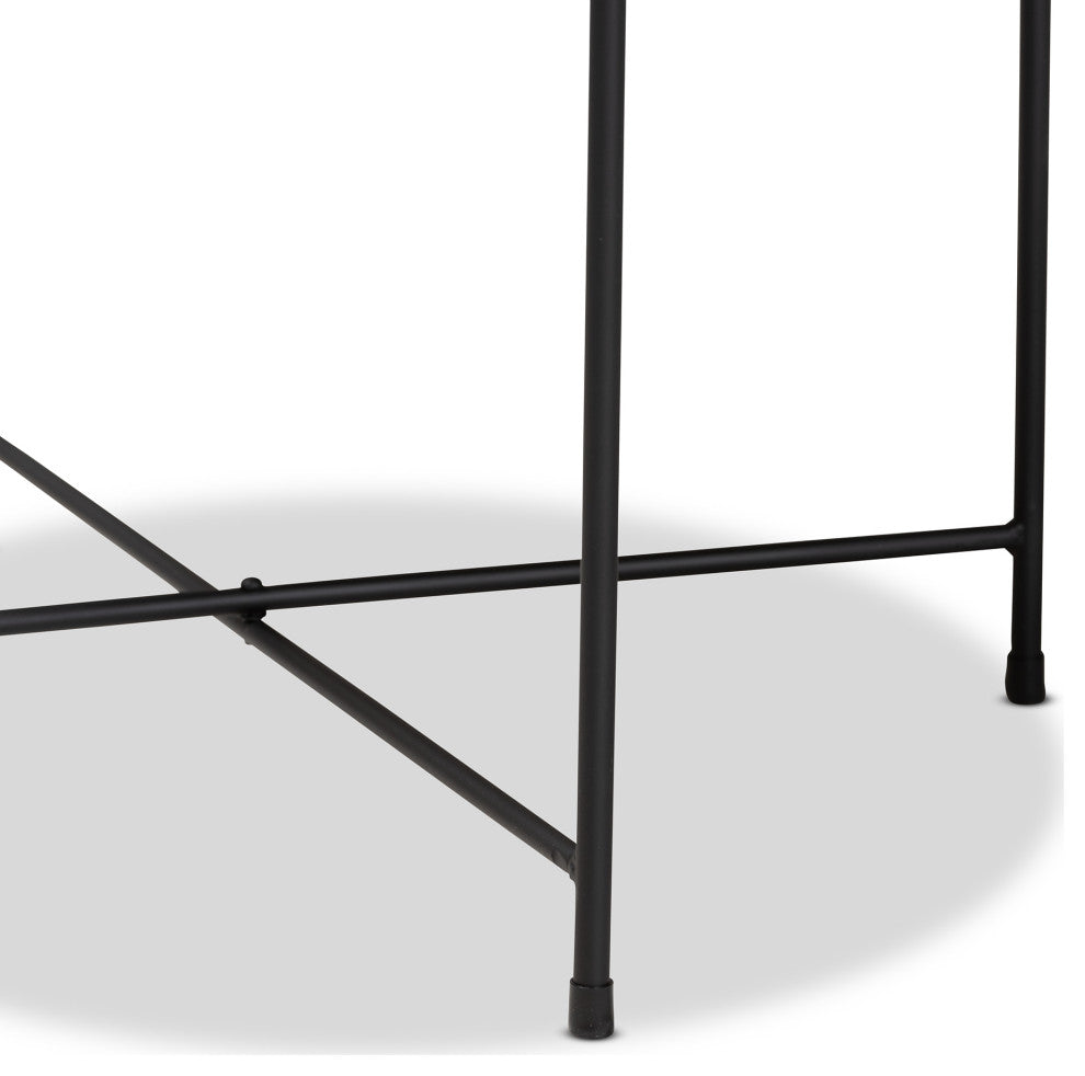 Ivana Modern And Contemporary Black Finished Metal Plant Stand