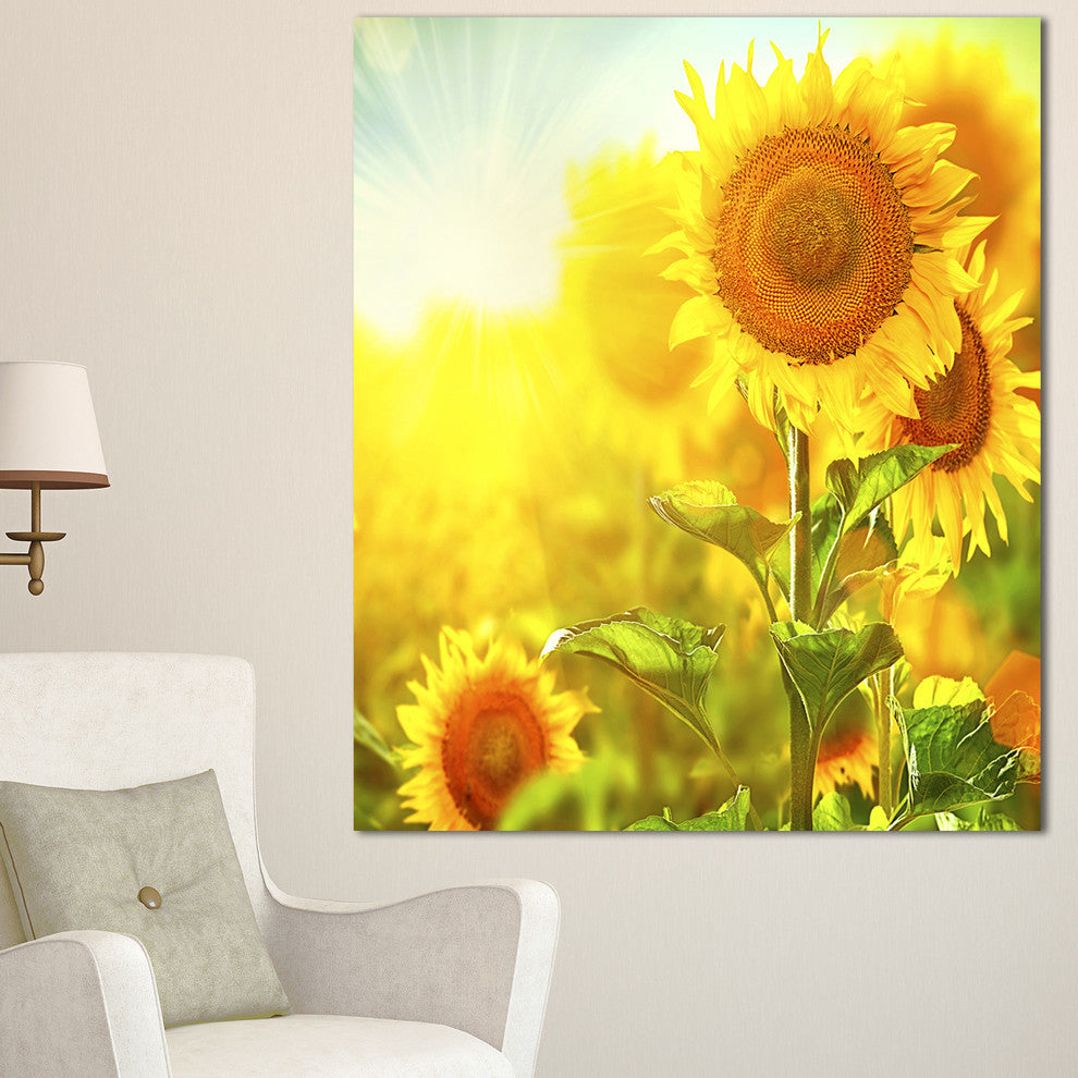 Bright Sunflowers Blooming on Field, Large Animal Canvas Art Print, 30"x40"