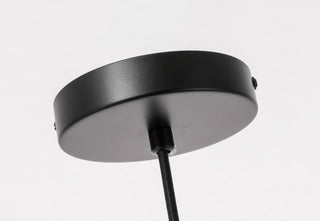 Black Finish And Clear Glass 1-Light Pendant