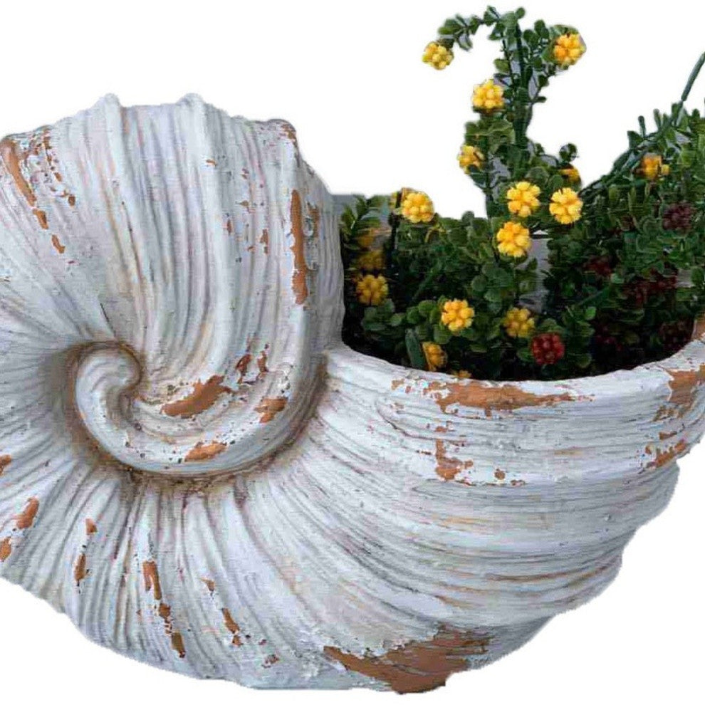 9" Distressed Cream and Terra Cotta Conch Shell Planter