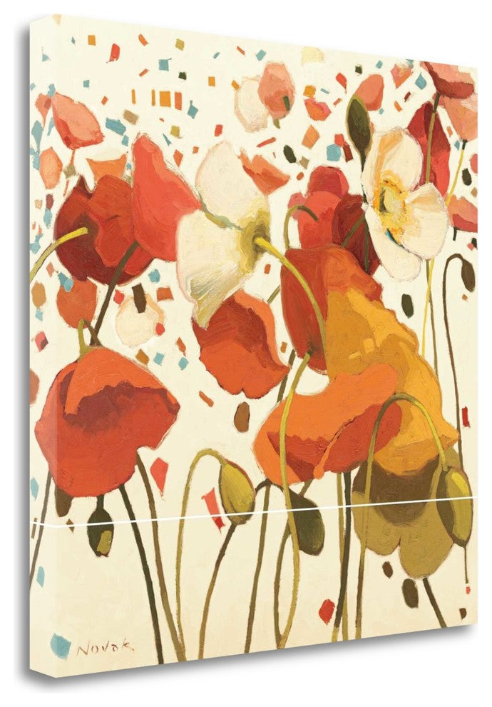 "Coral Confetti" By Shirley Novak, Giclee Print on Gallery Wrap Canvas