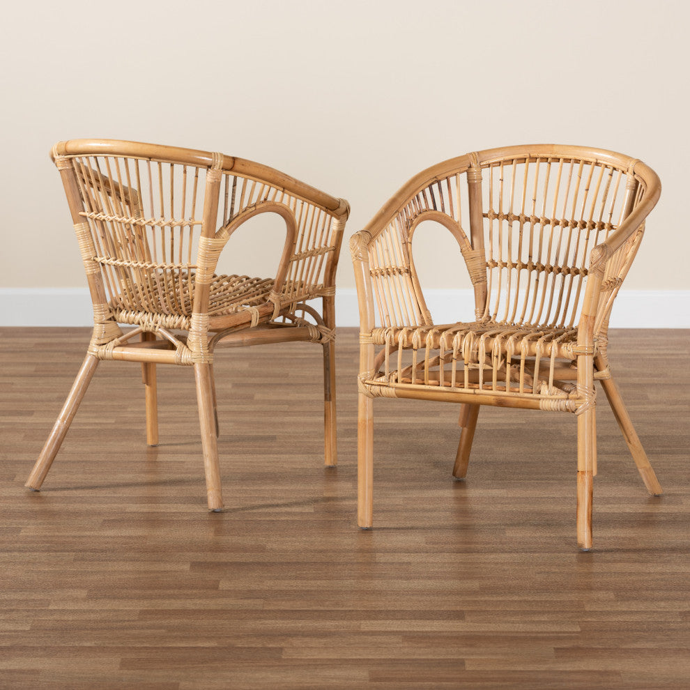 Alleta Modern Bohemian Natural Brown Rattan 2-Piece Dining Chair Set