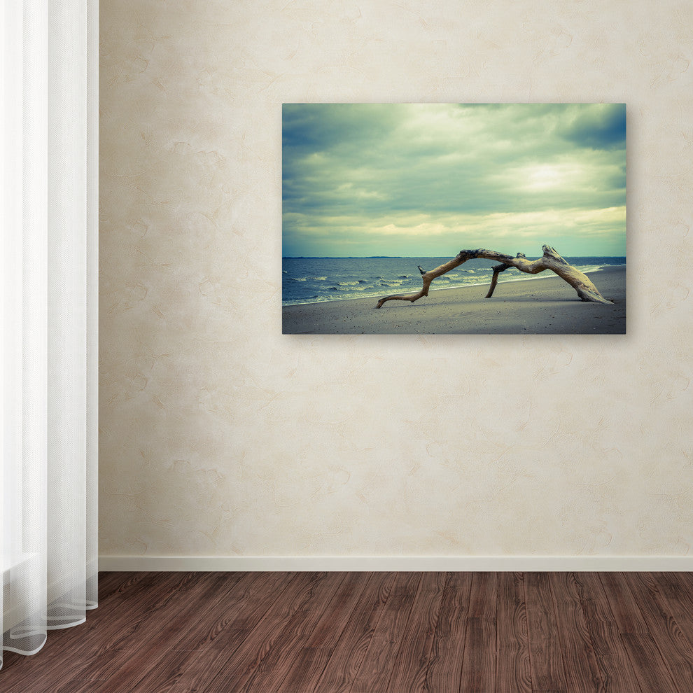PIPA Fine Art ''The Cove'' Canvas Art, 24x16