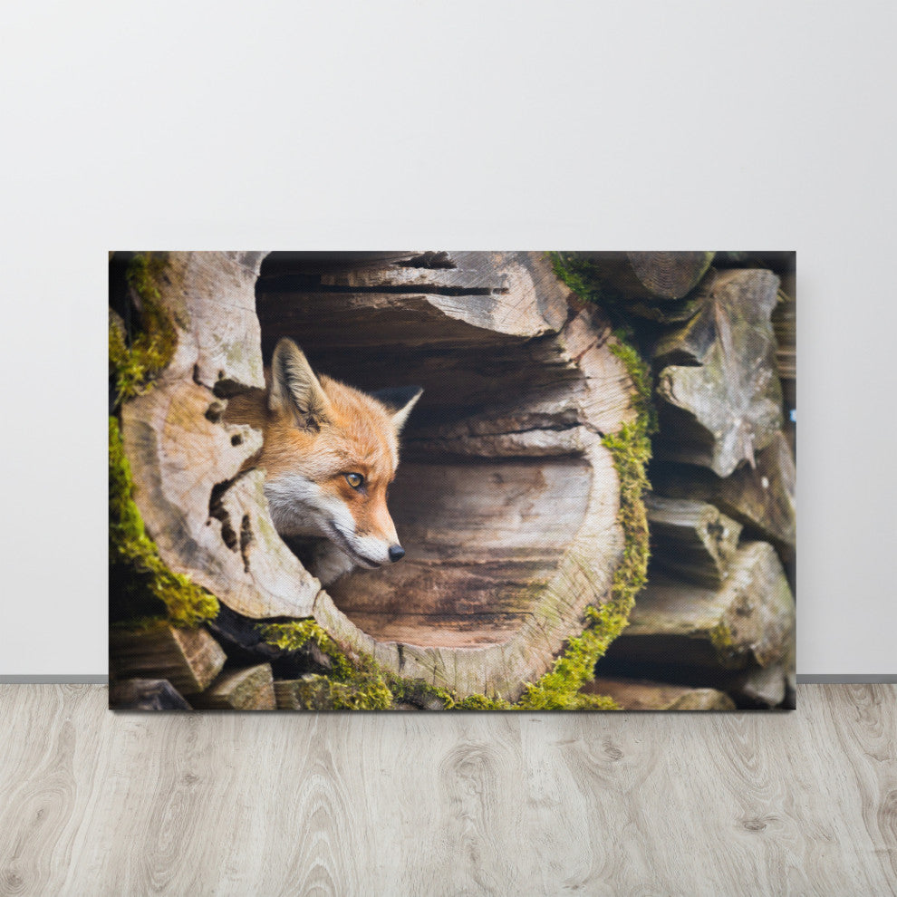 Young Red Fox Face In Mossy Stump Animal Wildlife Photo Canvas Wall Art Prints, 24" X 36"