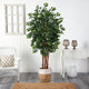 7' Sakaki Artificial Tree, Handmade Natural Jute and Cotton Planter
