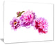 "Bright Pink Peony Flowers" Canvas Print, 20"x12"