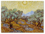 'Olive Trees, 1889' Canvas Art by Vincent van Gogh
