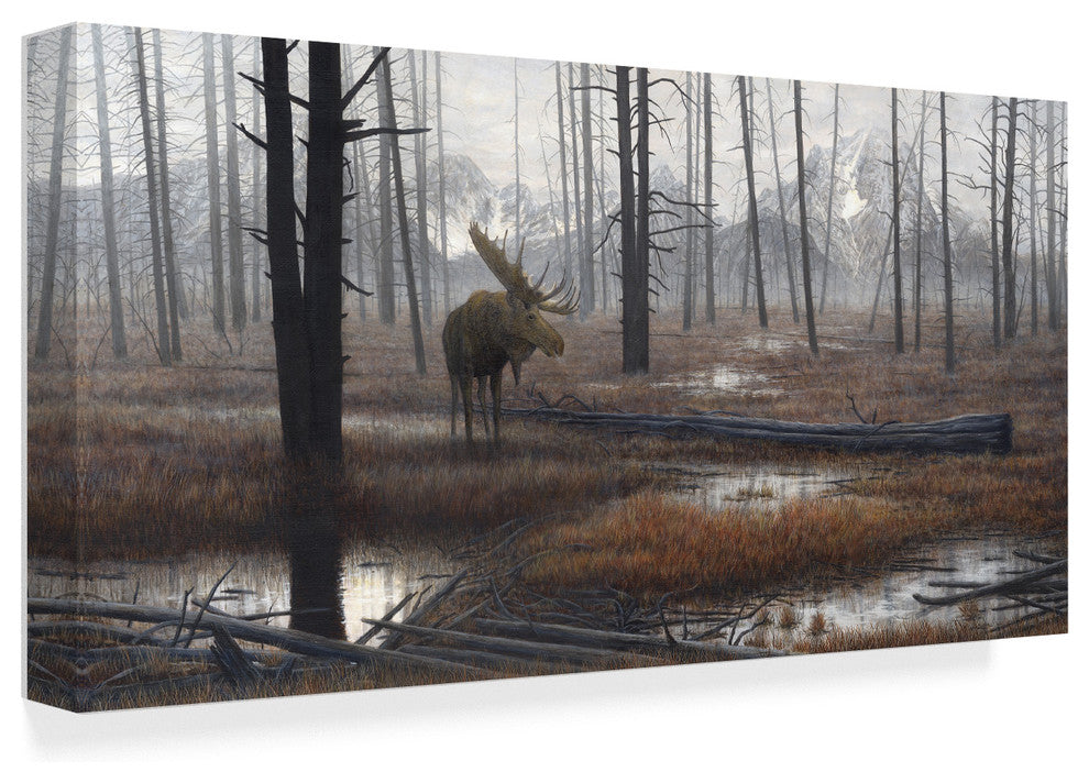 "When God Dreams" by John Morrow, Canvas Art, 32"x16"