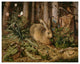 "A Hare in the Forest" Digital Paper Print by Hans Hoffmann, 22"x18"