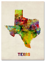 'Texas Map' Canvas Art by Michael Tompsett