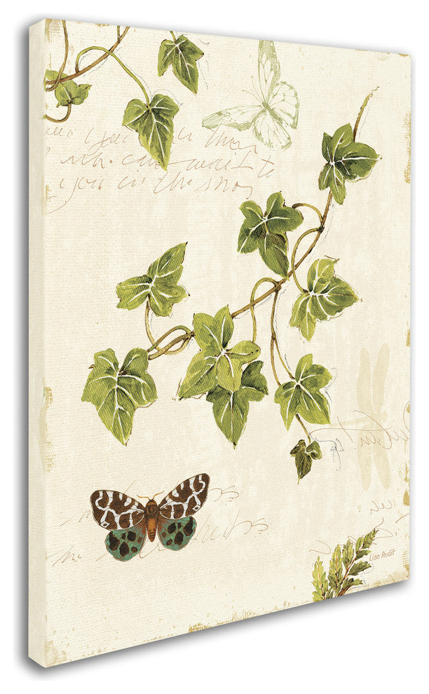 ''Ivies and Ferns II'' Canvas Art by Lisa Audit